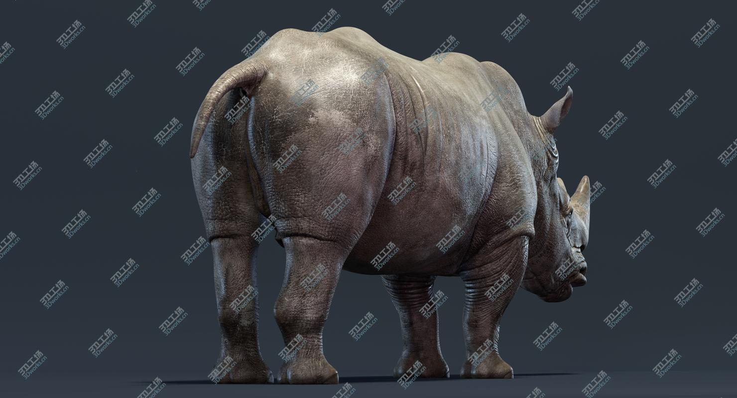images/goods_img/20210319/3D Rhino/3.jpg